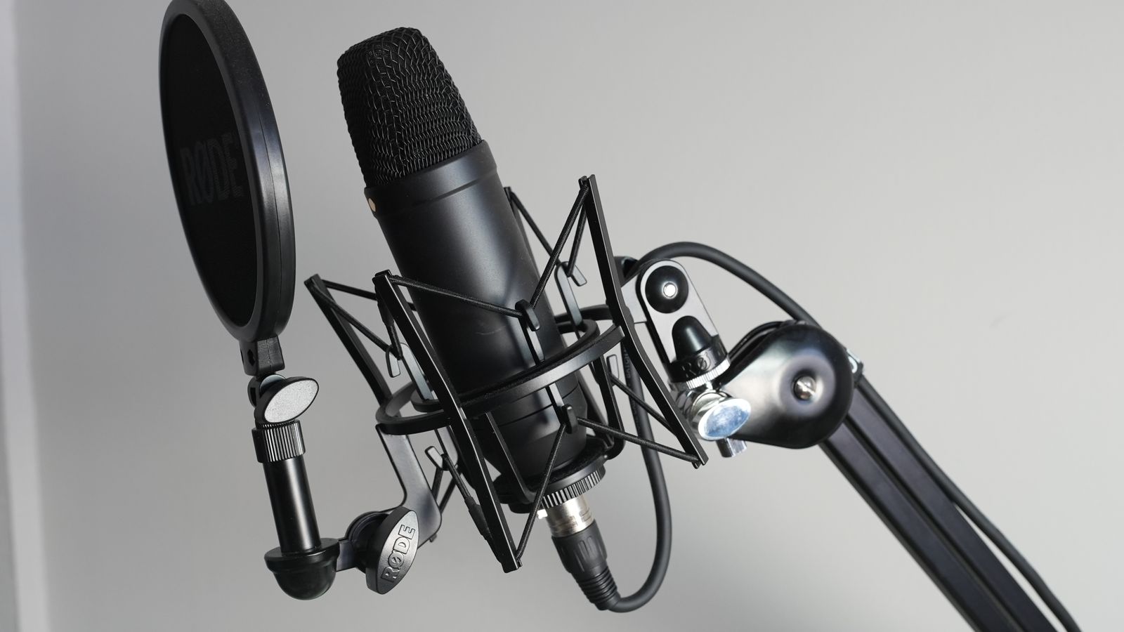 Microphone in a shock mount behind a circular pop filter