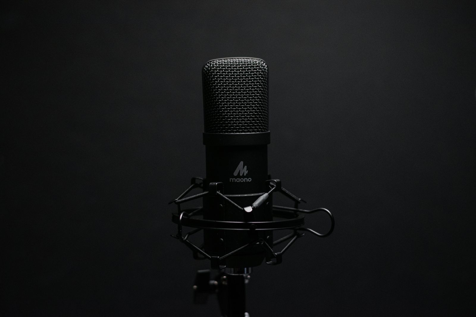 Studio microphone suspended in a shock mount
